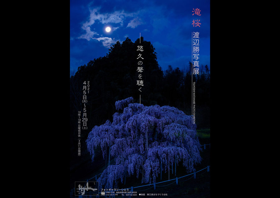 写真展-滝桜-悠久の聲を聴く-サムネイル